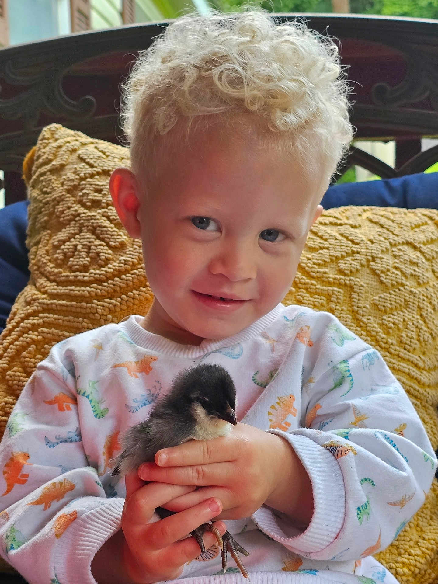 Cyprus is registered to the contest to win money with this photo: child, boy, curly_hair, blond, smiling, holding, chick, bird, animal, cute, cushion, bench, outdoor, sweatshirt, dinosaur_print, hand, portrait, cozy, happy, nature