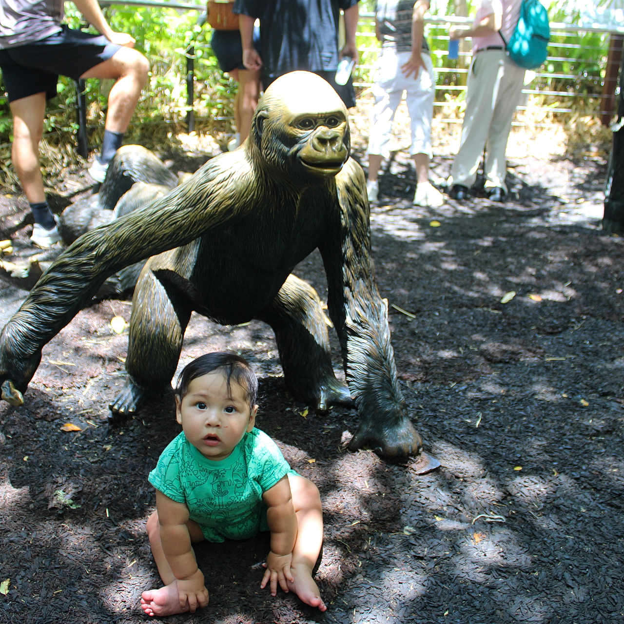 Rodrigo joined the competition — help win amazing prizes! baby, child, gorilla_statue, outdoor, people, green_clothing, shade, ground, nature, park, tourist, statue, curious, sitting, shorts, footwear, fence, backpack, sunlight, photography