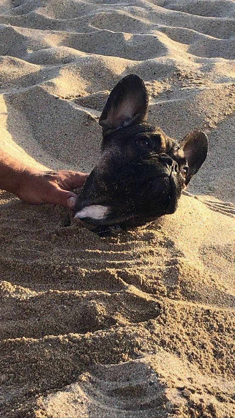 Tiago participe au concours pour gagner de l'argent avec cette photo : asphalt, beach, foot, fun, grass, human_leg, landscape, leisure, people_in_nature, recreation, road_surface, rock, sand, shadow, sitting, soil, sunlight, tints_and_shades, tree, wood