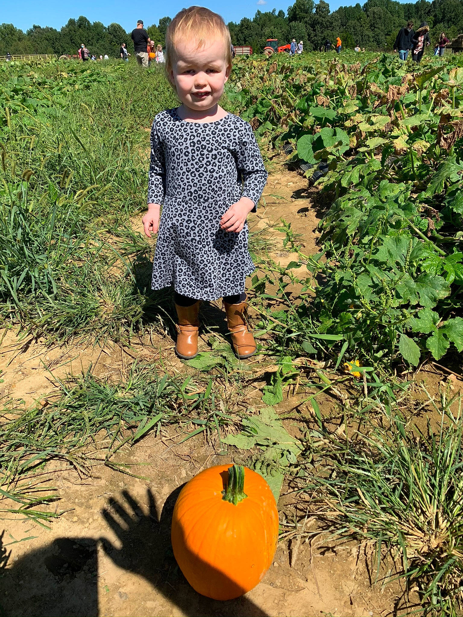 Braelynn joined the competition — help win amazing prizes! adaptation, calabaza, child, cucurbita, farm, fruit, fun, grass, leaf, people_in_nature, person, plant, pumpkin, soil, squash, toddler, tree, vegetable, winter_squash