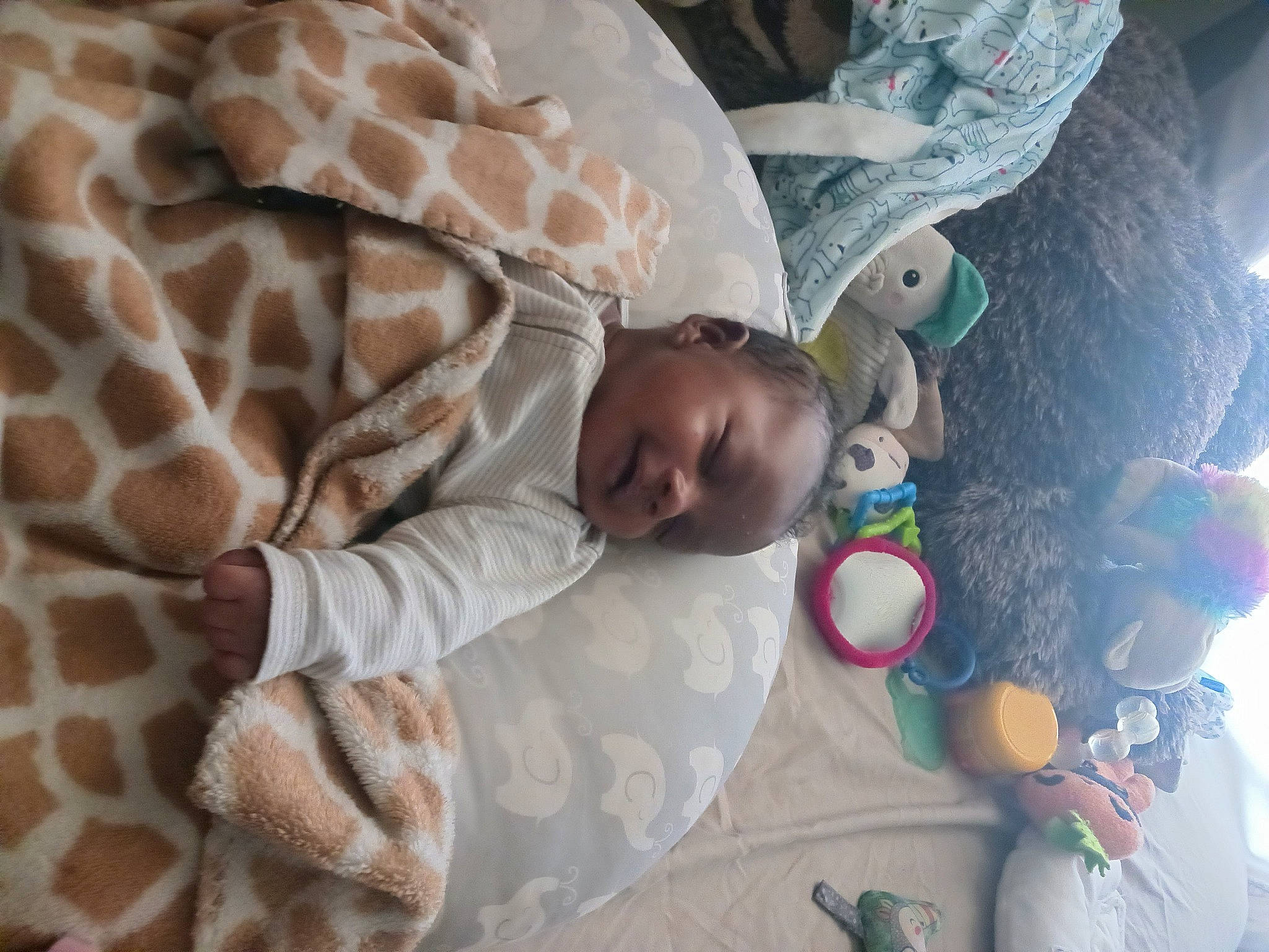 Jeremy is registered to the contest to win money with this photo: arm, baby, baby_toddler_clothing, child, comfort, eye, fawn, giraffe, giraffidae, head, human_body, linens, pattern, person, skin, sleeve, terrestrial_animal, textile, toddler, tree