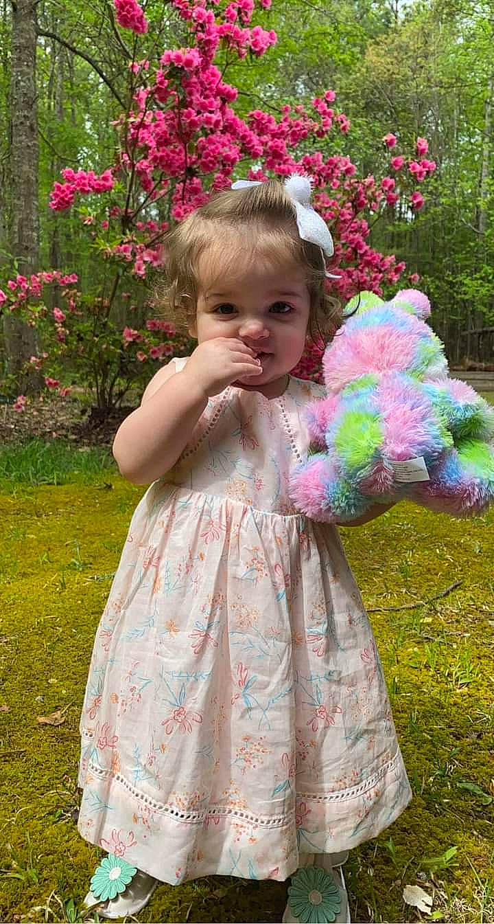 Lillian joined the competition — help win amazing prizes! baby_toddler_clothing, botany, dress, flower, grass, green, hand, happy, leaf, natural_environment, nature, people_in_nature, person, petal, photograph, pink, plant, purple, summer, toddler
