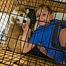 Charli Aka Lil Girl joined the competition — help win amazing prizes! boy, puppy, dog, pet_crate, cage, smile, indoor, wooden_floor, blue_shirt, barefoot, sandals, furniture, playing, cute, happy, child, animal, pet, face, hand