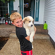 Charli Aka Lil Girl is registered to the contest to win money with this photo: boy, puppy, dog, child, smile, porch, house, plant, fern, door, steps, outdoor, concrete, shorts, black_shirt, happy, pet, green_watering_can, window, summer