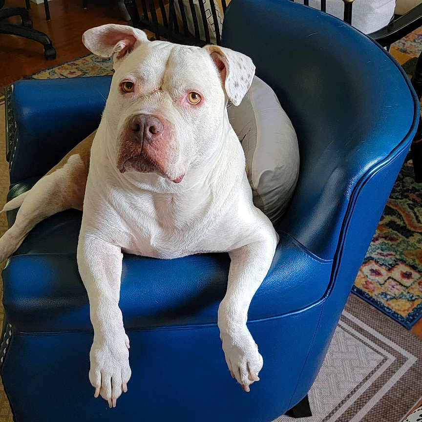 Molly