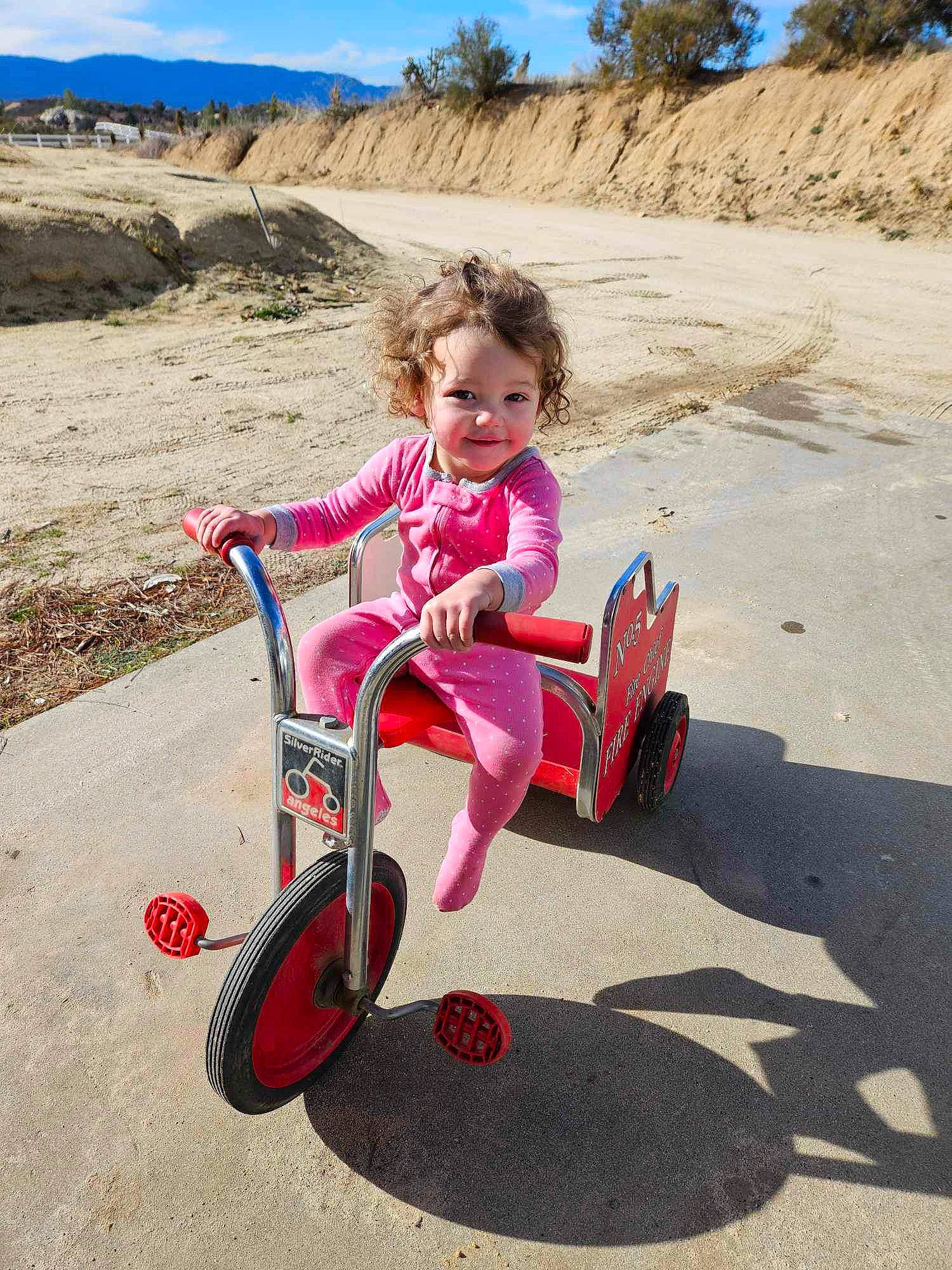 Nevaeh is registered to the contest to win money with this photo: automotive_tire, automotive_wheel_system, comfort, fun, grass, happy, joy, landscape, leisure, magenta, person, recreation, riding_toy, rolling, sitting, sky, smile, tire, toddler, travel