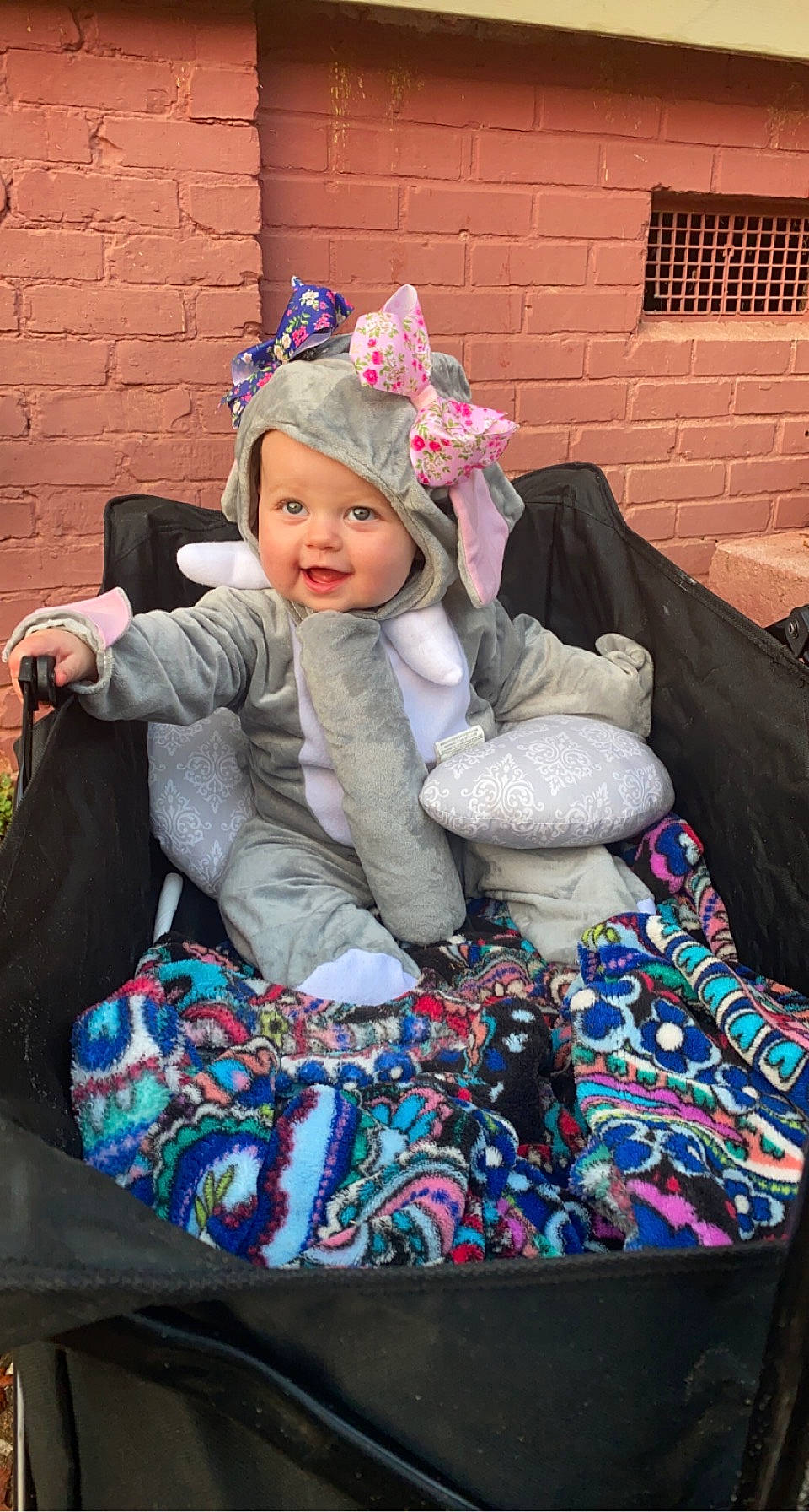 Ila is registered to the contest to win money with this photo: brick, brickwork, child, clothing, event, fashion, fashion_accessory, fun, fur, grass, happy, headwear, outerwear, person, pink, purple, sitting, smile, textile, toddler