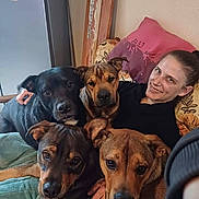 Tyson Tess Trust Jaika Régal a rejoint le concours — aidez-le/la à gagner de superbes lots ! adult, animal, canine, couch, cushion, dog, electronics, face, furniture, head, homedecor, hound, indoors, interiordesign, male, man, person, pet, photography, portrait
