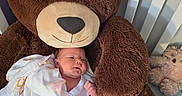 Zoey is registered to the contest to win money with this photo: awake, baby, blanket, brown, child, cozy, crib, indoor, infant, newborn, nursery, photography, plush_toy, portrait, sleeping, smiling, stuffed_animal, swaddled, teddy_bear, white