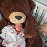 newborn, baby, infant, child, teddy_bear, stuffed_animal, crib, blanket, swaddled, sleeping, awake, smiling, portrait, nursery, indoor, brown, white, cozy, plush_toy, photography