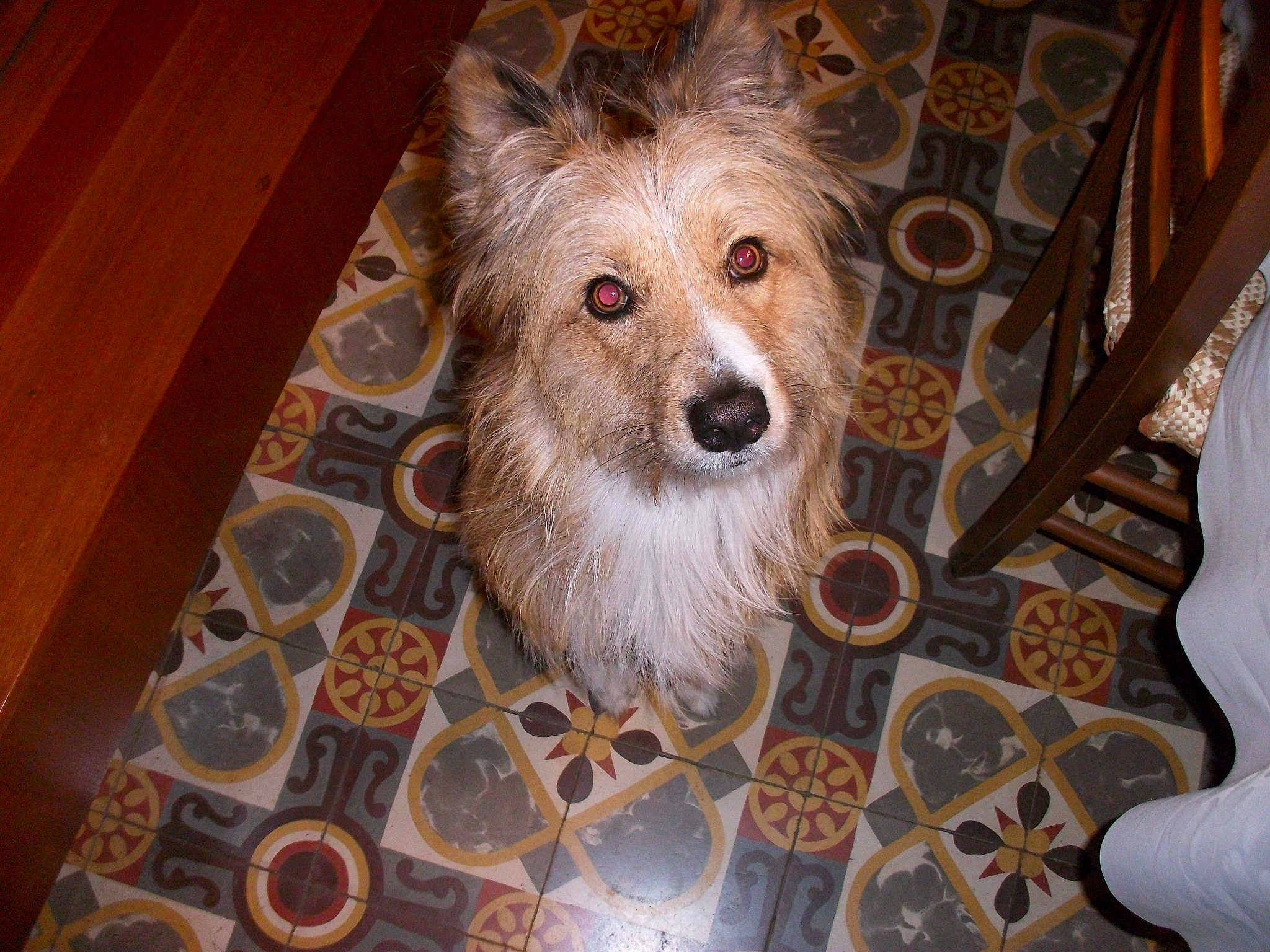Leïko