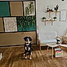 dog, living_room, wooden_floor, sofa, chair, table, plant, window, books, shelf, wall_art, decor, flower_vase, modern, interior, calm, pet, natural_light, minimalist, home