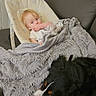baby, dog, blanket, cushion, seated, indoor, fur, black_dog, brown_dog, white_dog_markings, baby_seat, resting_dog, cozy, comfort, relaxed, floor_tiles, sofa, plush_blanket, child, pet
