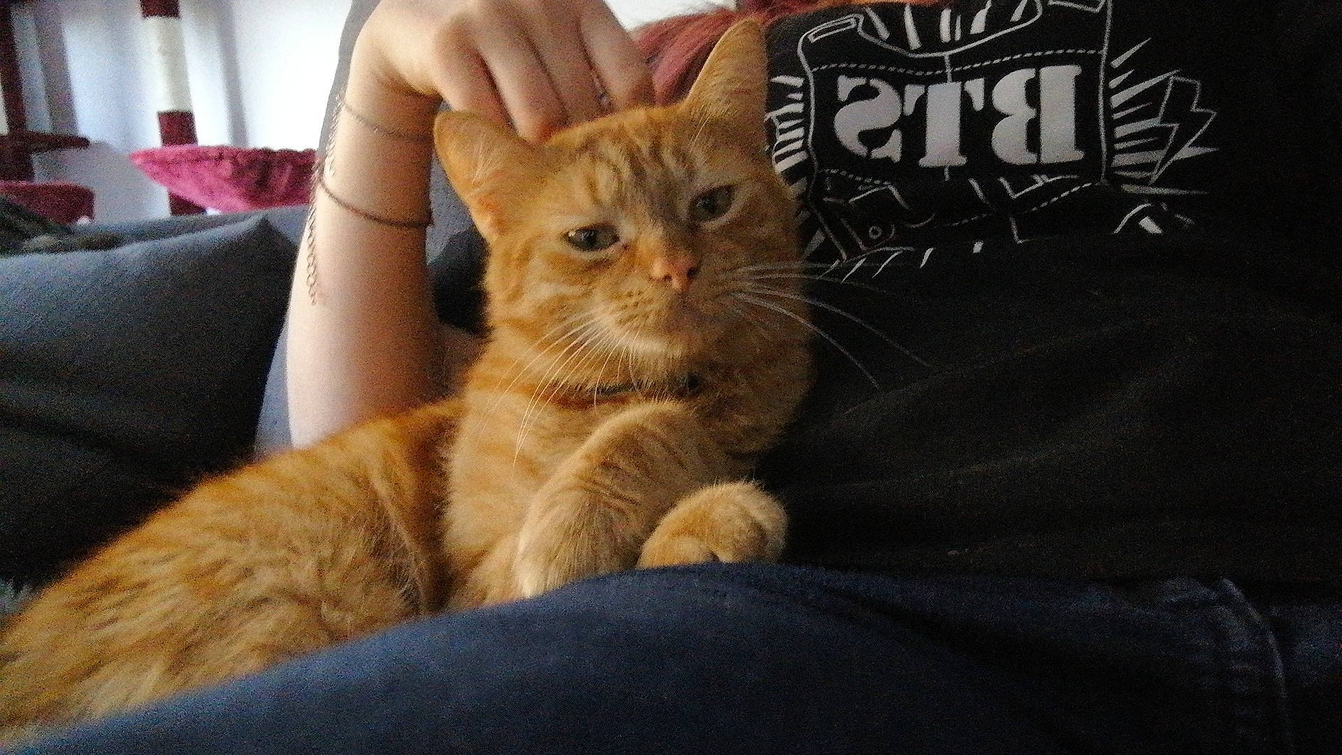 Garfield
