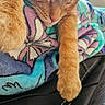 cat, orange_cat, tabby, feline, sleeping, sleepy, face, paw, whiskers, pink_nose, fur, striped_fur, blanket, colorful_blanket, cozy, indoor, close_up, portrait, resting, cute