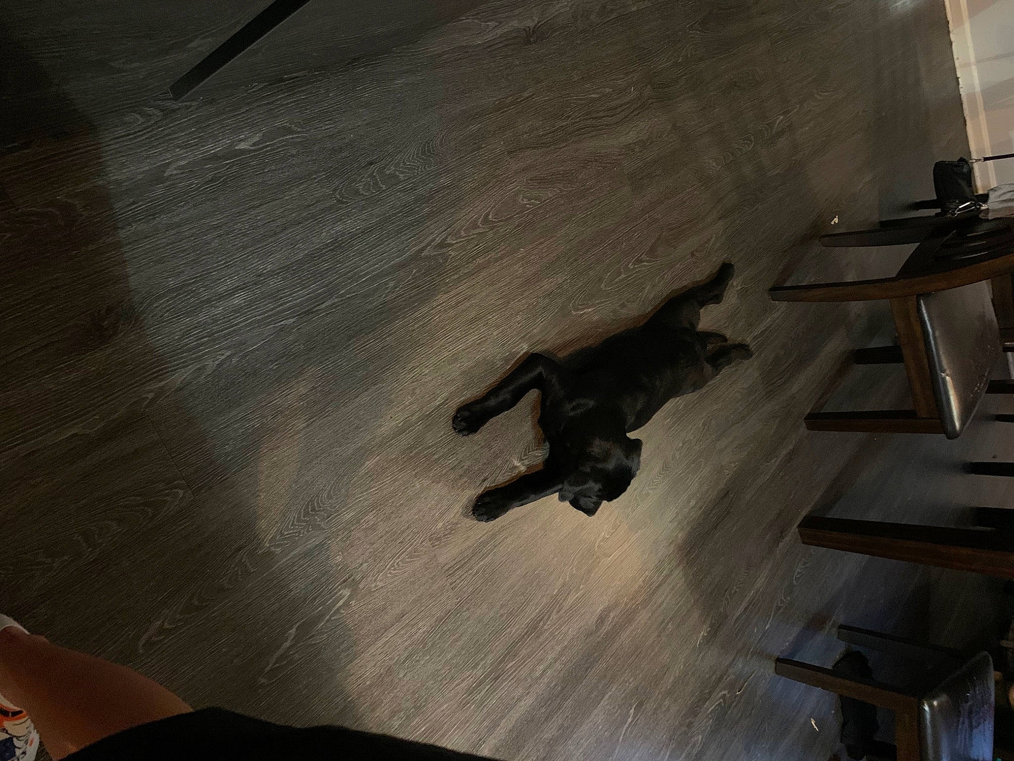 Medusa is registered to the contest to win money with this photo: art, daylighting, floor, flooring, handrail, hardwood, human_leg, laminate_flooring, metal, plywood, room, shadow, stairs, tints_and_shades, varnish, wood, wood_flooring, wood_stain