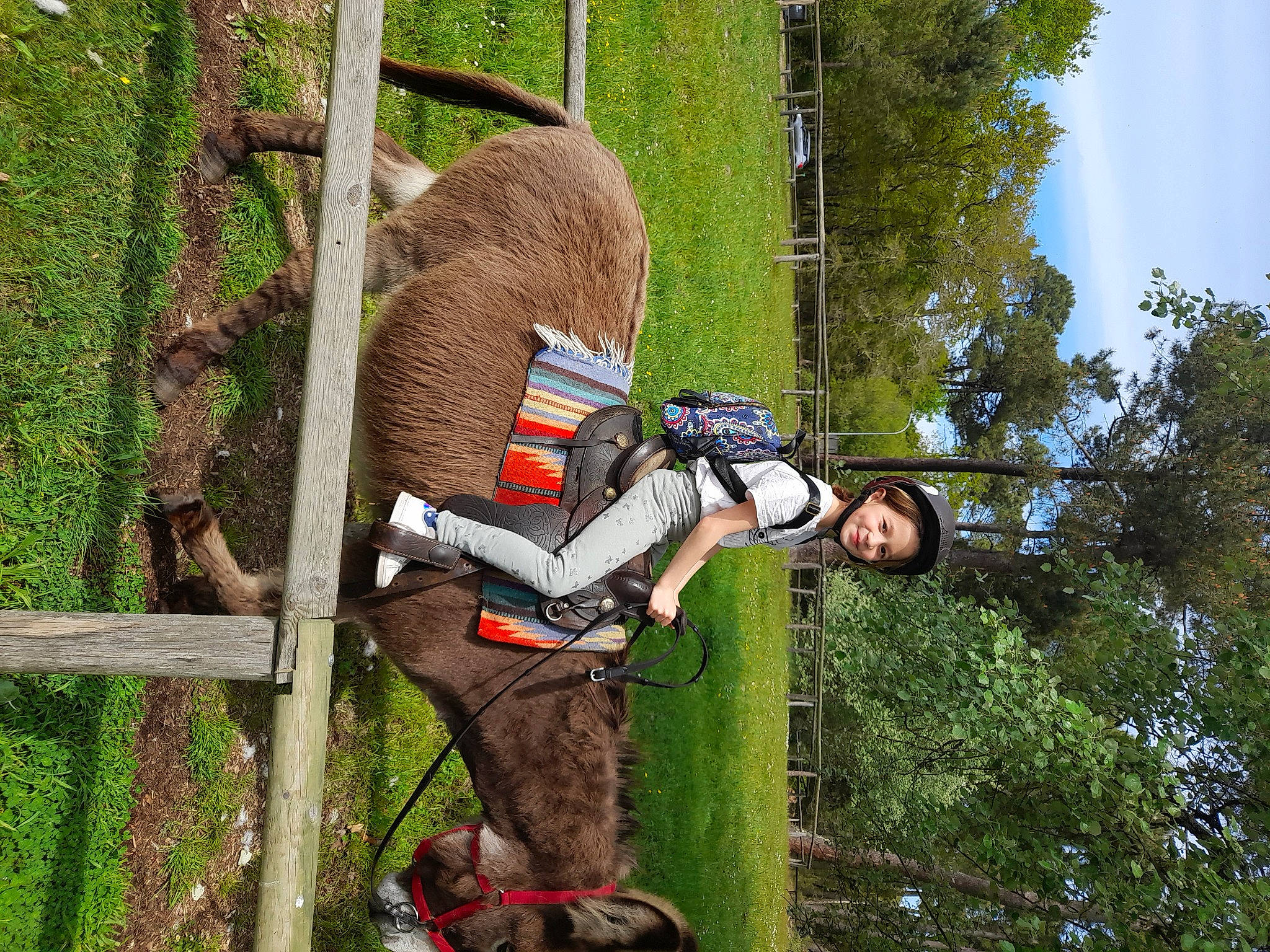 Luna participe au concours pour gagner de l'argent avec cette photo : adventure, fence, fun, grass, headwear, helmet, joy, leisure, people_in_nature, person, plant, recreation, rock_climbing_equipment, saw, sky, sports, tire, tool, tree, trunk