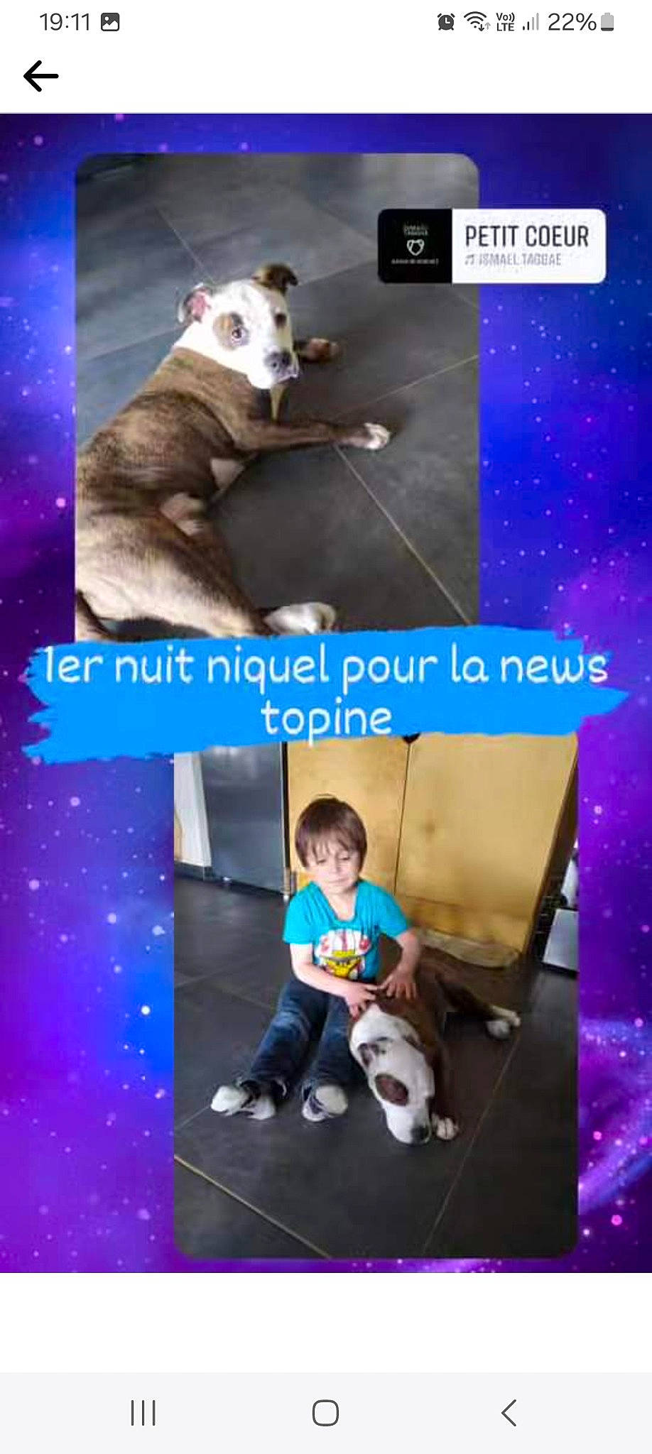 Bulma participe au concours pour gagner de l'argent avec cette photo : adaptation, carnivore, collage, companion_dog, design, dog, electric_blue, font, fun, happy, human, leisure, mammal, photo_caption, photograph, product, snapshot, space, toddler, vertebrate