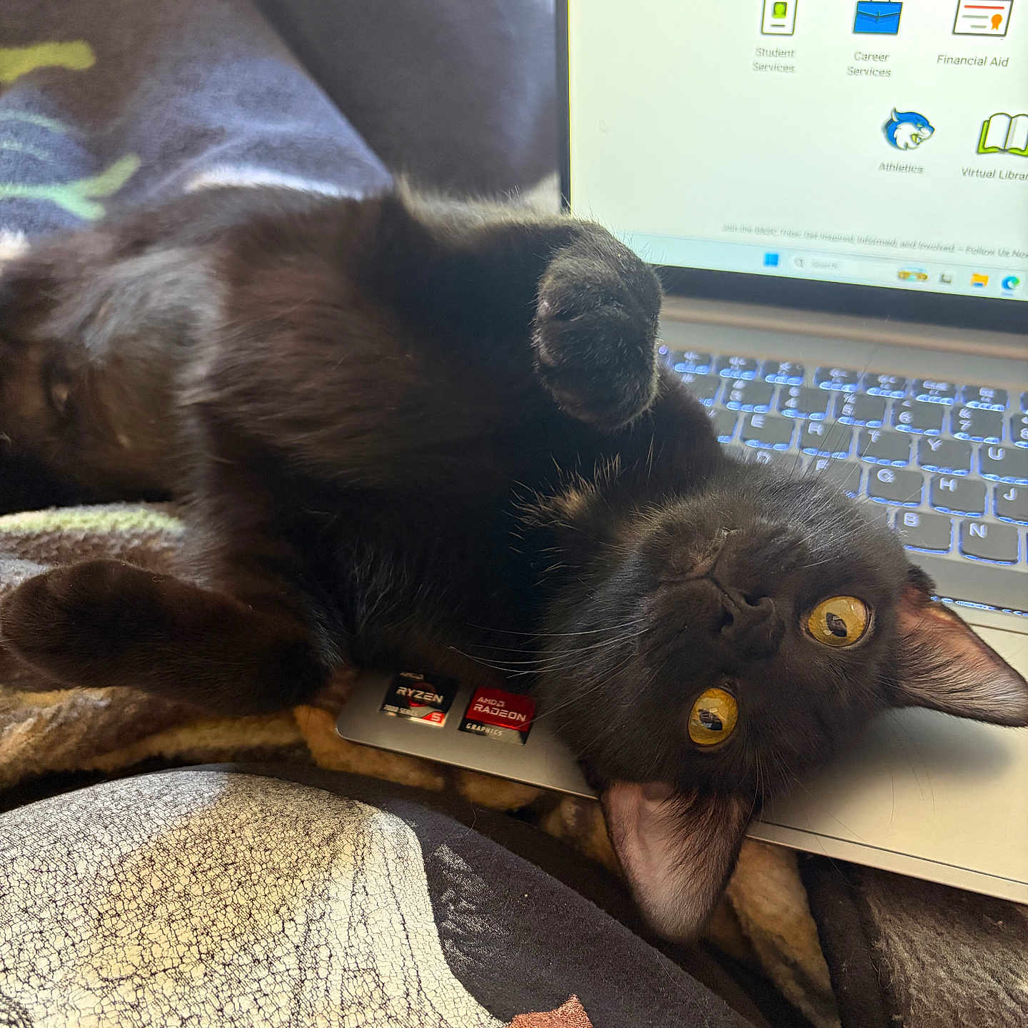 Luna