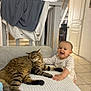 animal, baby, blanket, cat, child, clothing, cozy, cute, floor_tiles, furniture, happy, home, indoor, interaction, person, pet, railing, resting, smiling, tabby_cat
