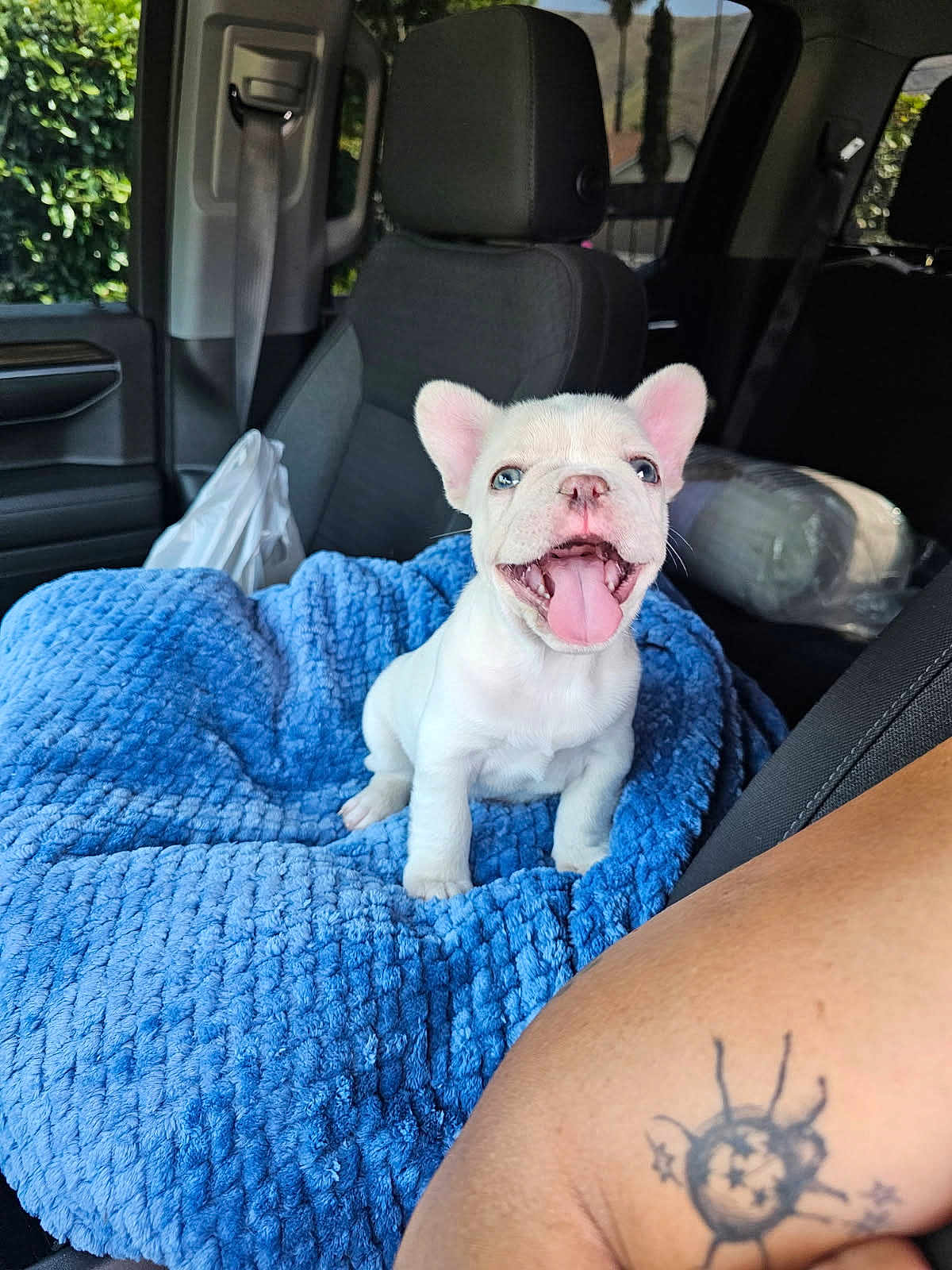 Max