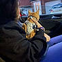 Oscar joined the competition — help win amazing prizes! cat, person, car_interior, orange_cat, harness, hand, nails, window, suburban, house, car, night, clothing, long_hair, blue_nails, seat, dashboard, leisure, pet, holding