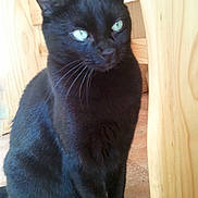 Nikita a rejoint le concours — aidez-le/la à gagner de superbes lots !