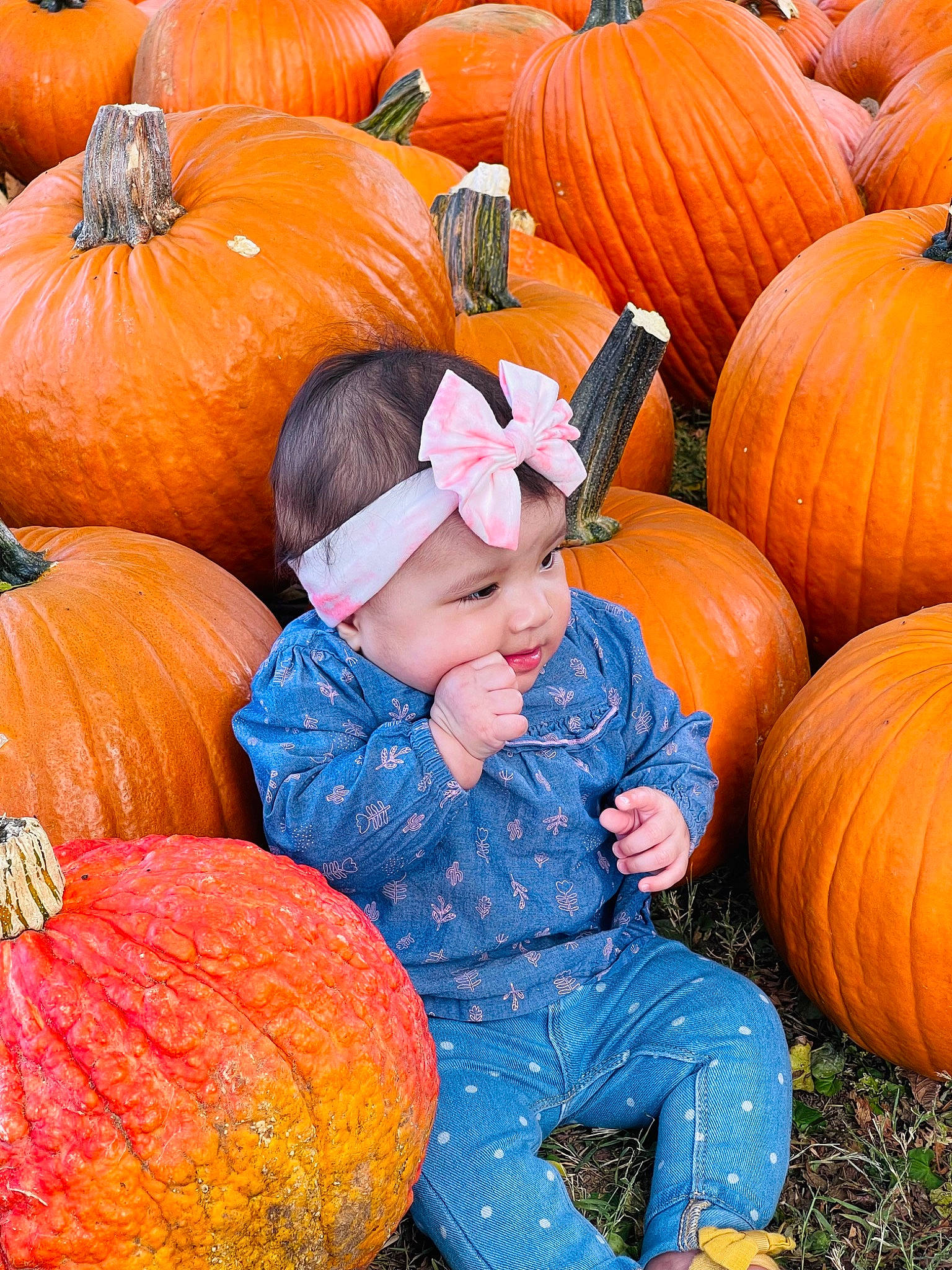 Ellie joined the competition — help win amazing prizes! calabaza, cucurbita, eye, facial_expression, gourd, grass, head, headwear, leaf, natural_foods, orange, organ, people, person, plant, pumpkin, squash, tints_and_shades, toddler, vegetable