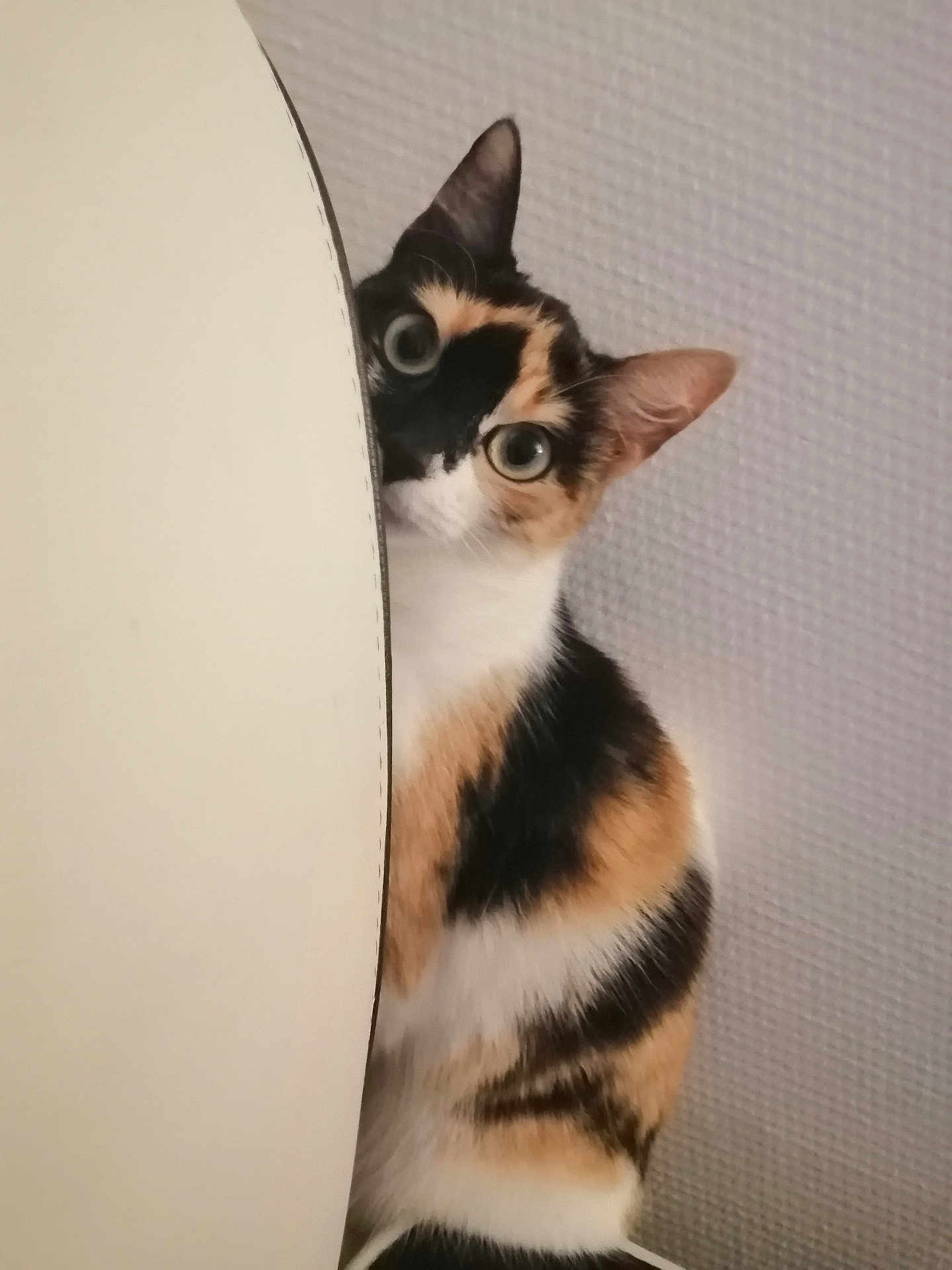 Athena
