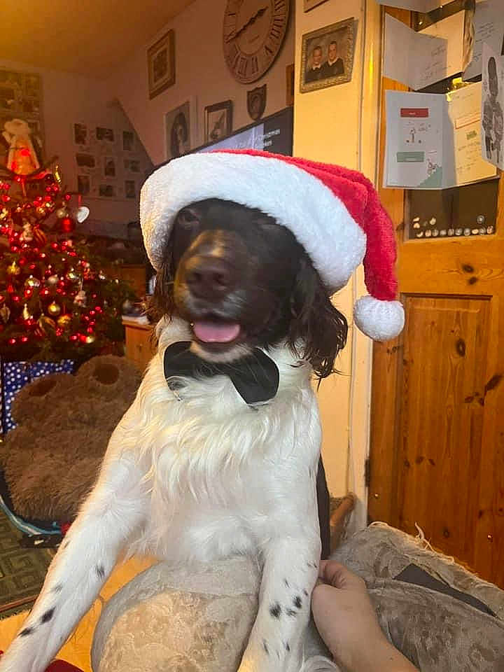 Archie