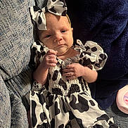 Ava is registered to the contest to win money with this photo: baby, infant, cow_print, dress, headband, bow, couch, blanket, clothing, person, child, cute, indoors, fabric, pattern, resting, small, newborn, skin, portrait