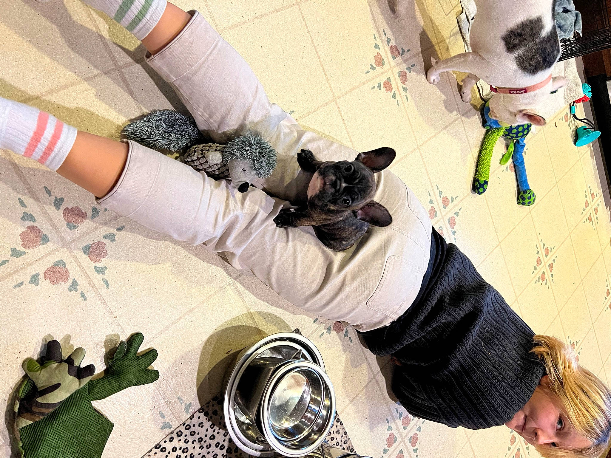 Bibbleboop is registered to the contest to win money with this photo: companion_dog, cool, design, eyewear, fashion, fashion_accessory, human_leg, knee, leg, nail, pattern, product, sandal, shoe, sneakers, sock, sunglasses, thigh, white, wrist