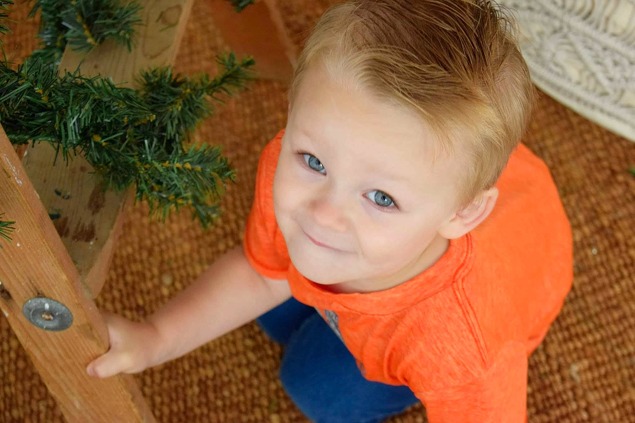 Charles-hugo a rejoint le concours — aidez-le/la à gagner de superbes lots ! child, eye, floor, flooring, fun, grass, hairstyle, happy, hardwood, head, iris, nose, person, plant, skin, smile, toddler, tree, varnish, wood