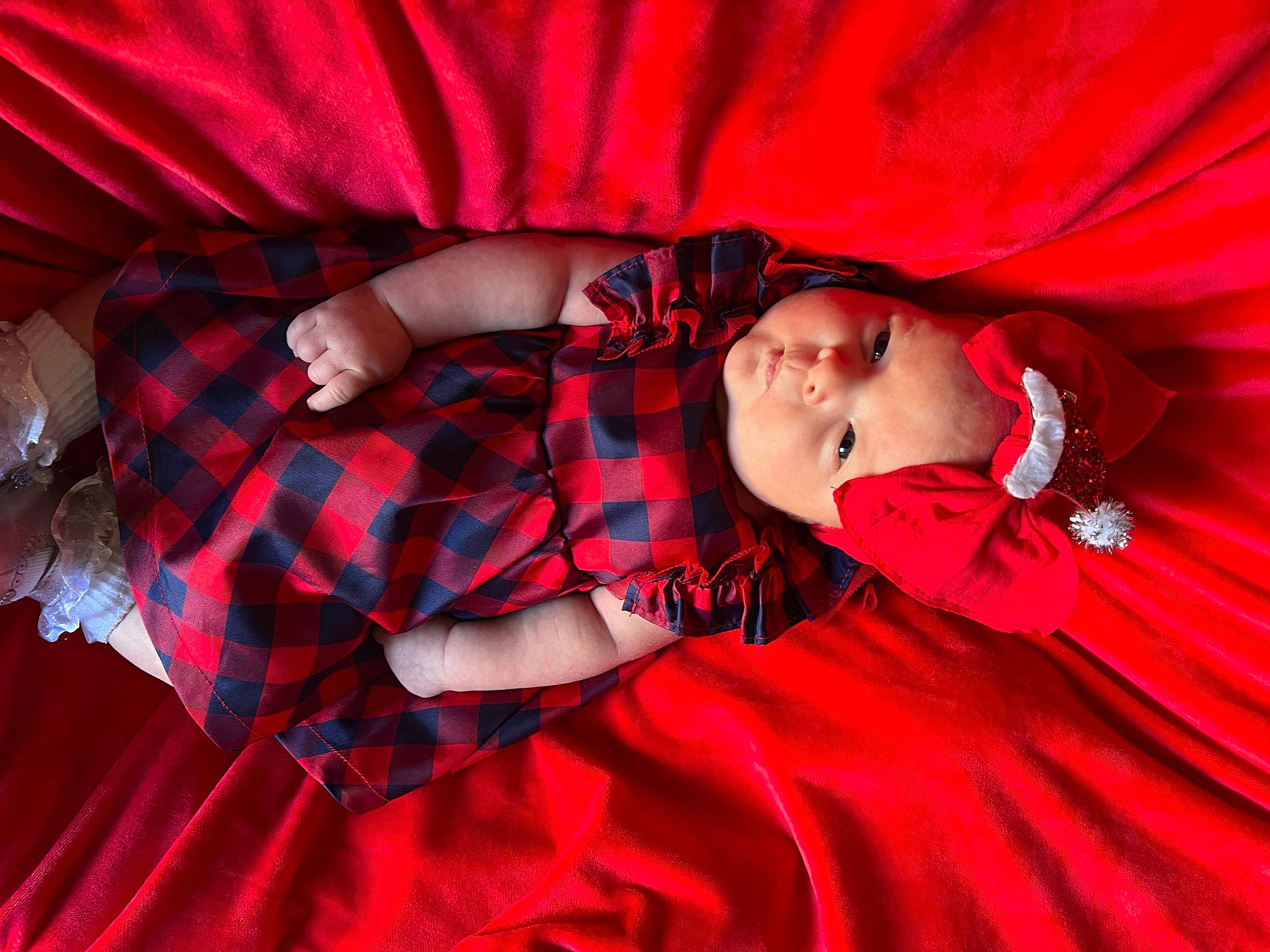 Elle joined the competition — help win amazing prizes! comfort, couch, dress, event, flash_photography, hand, headwear, human_leg, magenta, orange, pattern, person, pink, plaid, plant, purple, red, sleeve, tartan, textile