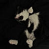 Akila a rejoint le concours — aidez-le/la à gagner de superbes lots ! kitten, cat, black_and_white, feline, fur, whiskers, paws, pink_nose, sleeping, lying_down, relaxed, cute, pet, animal, portrait, close_up, dark_background, blanket, indoor, monochrome