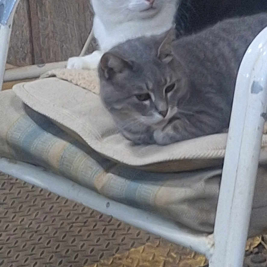 Ghost And Rio