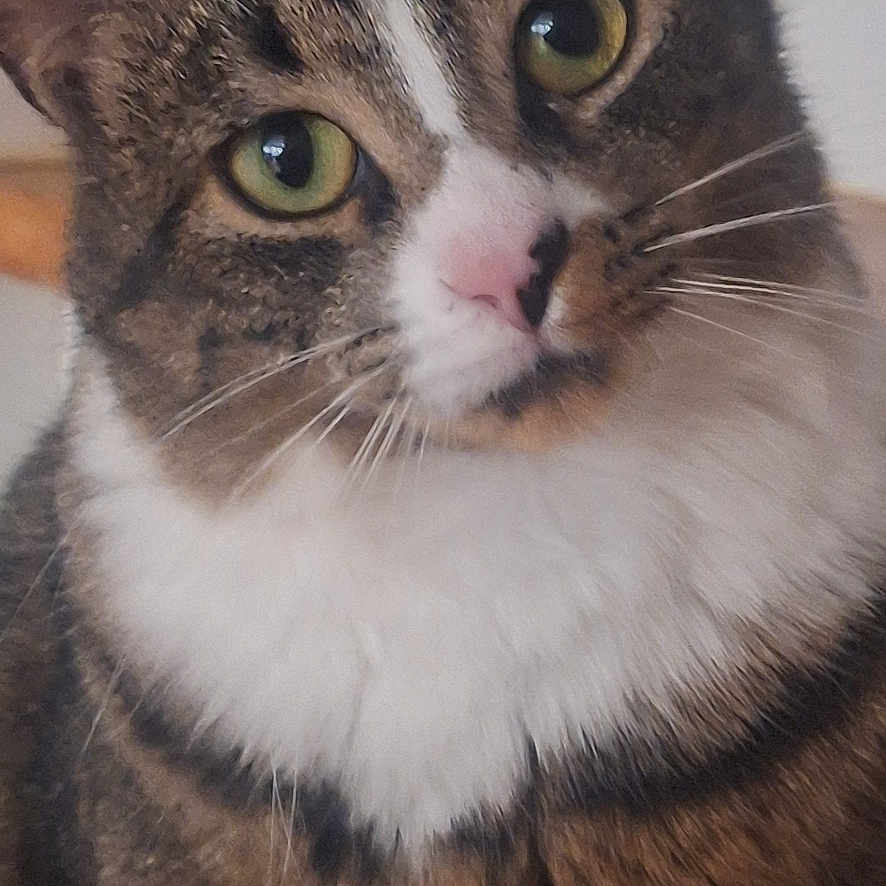 Fegan