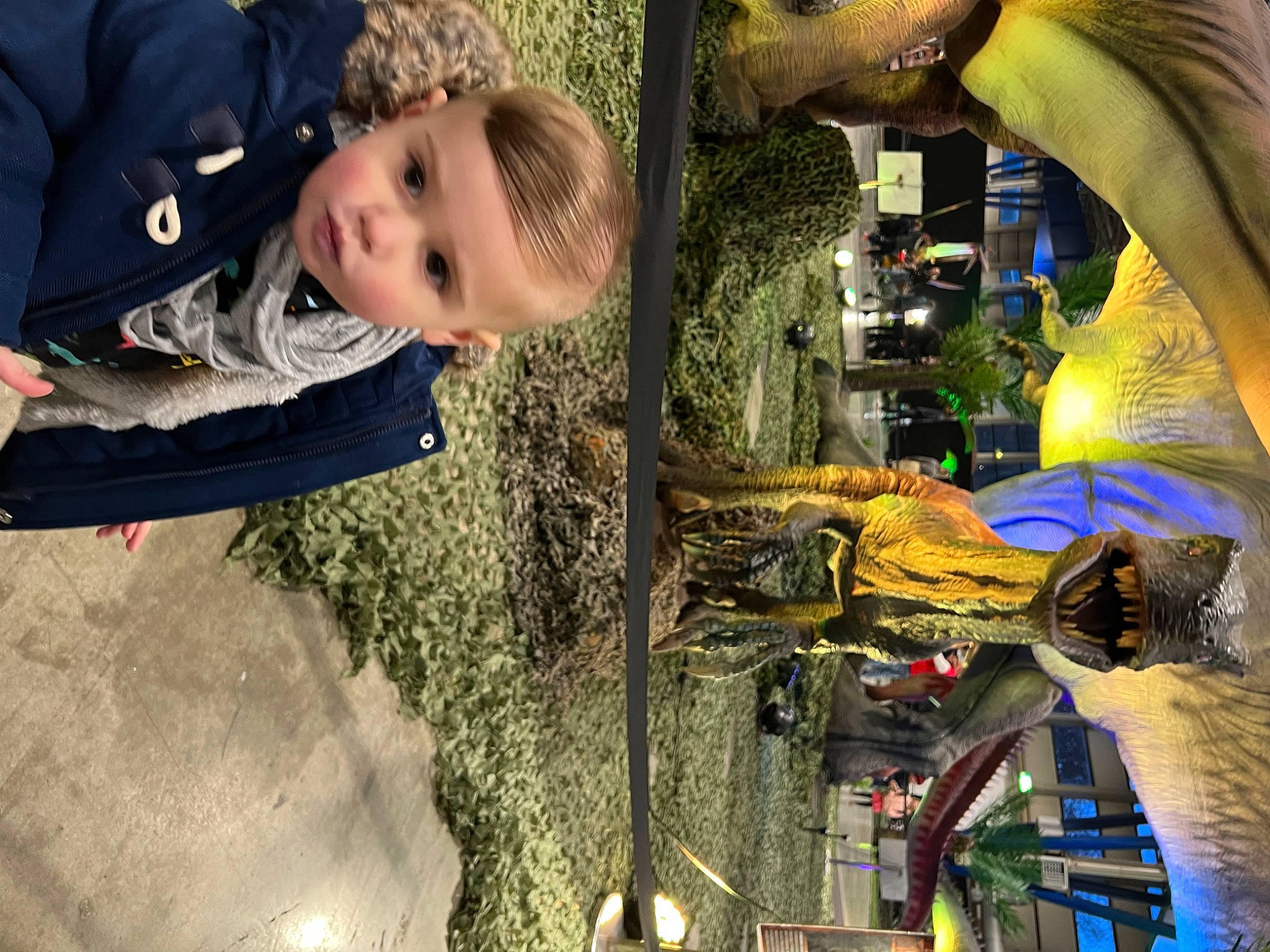 Nëlyo participe au concours pour gagner de l'argent avec cette photo : art, child, fun, fur, grass, happy, hoodie, leisure, person, plant, recreation, smile, soil, t_shirt, toddler, tree, vertebrate, visual_arts, wood, woody_plant