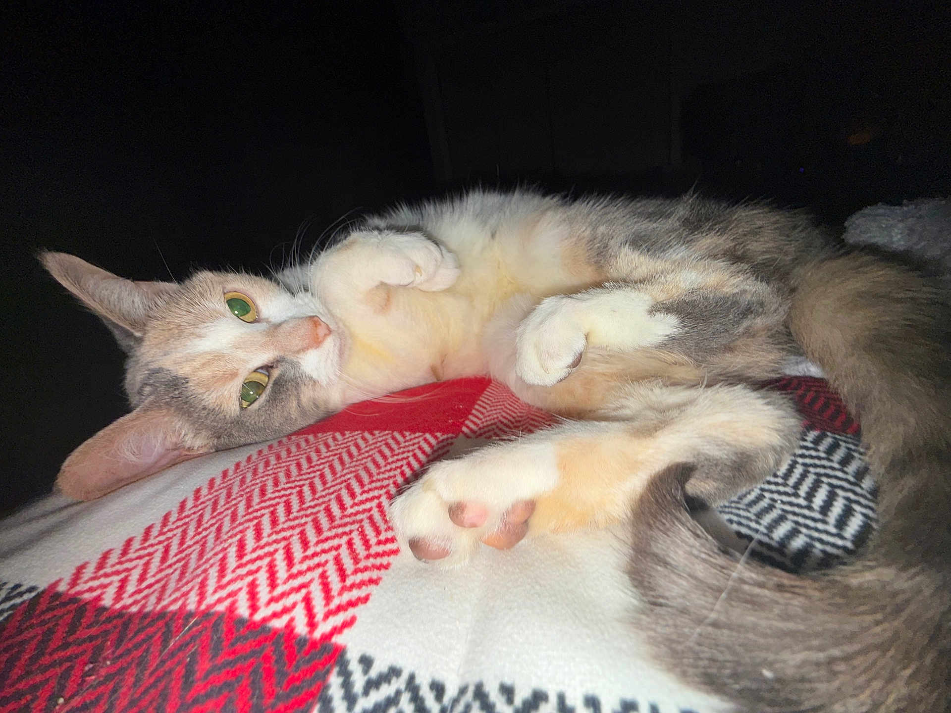 Miki