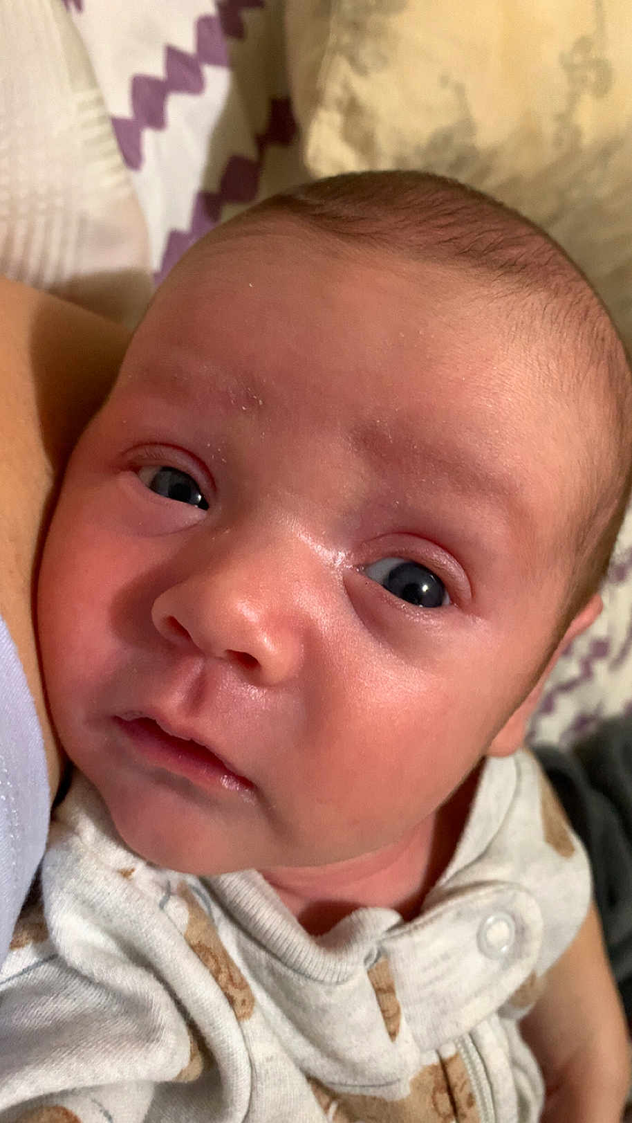 Waylen is registered to the contest to win money with this photo: baby, close_up, face, infant, newborn, eyes, skin, clothing, patterned_background, curious, soft_skin, cute, child, portrait, young, indoors, snuggle, cozy, expression, head