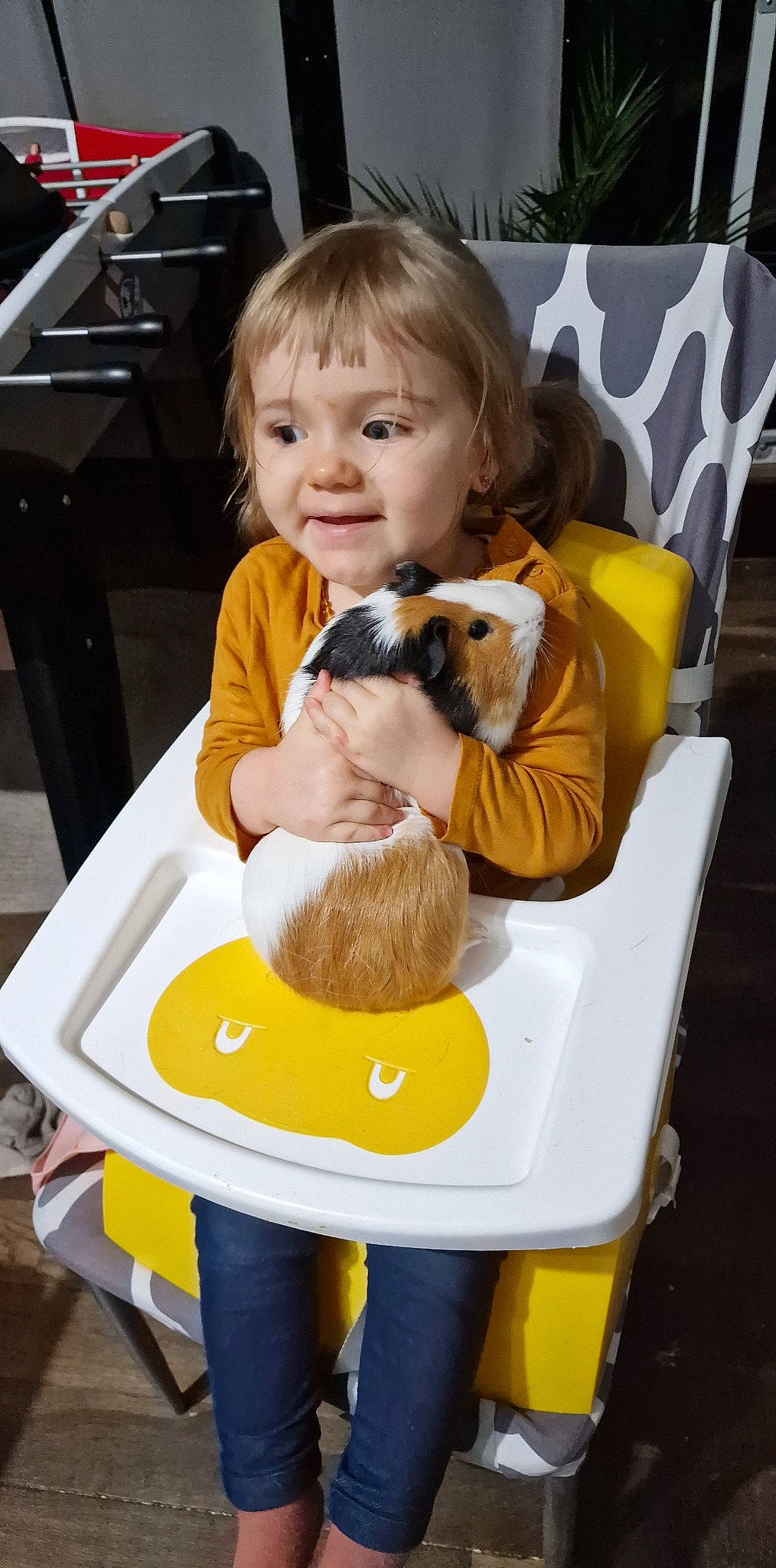 Ylianna a rejoint le concours — aidez-le/la à gagner de superbes lots ! baby, carnivore, chair, child, comfort, companion_dog, dog, dog_breed, fun, lap, leisure, person, recreation, sharing, sitting, smile, stuffed_toy, table, toddler, toy