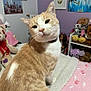 cat, bed, stuffed_animals, toy, orange_cat, white_cat, indoor, decor, blanket, shelf, painting, purple_wall, pink_bedspread, cozy, pet, cute, feline, collar, curious, animal