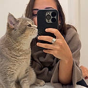 Nuki a rejoint le concours — aidez-le/la à gagner de superbes lots ! cat, person, selfie, mirror, smartphone, phone_case, ring, sweater, cat_whiskers, cat_paws, fur, indoor, bathroom, shelf, reflection, portrait, hand, table, cozy, pet