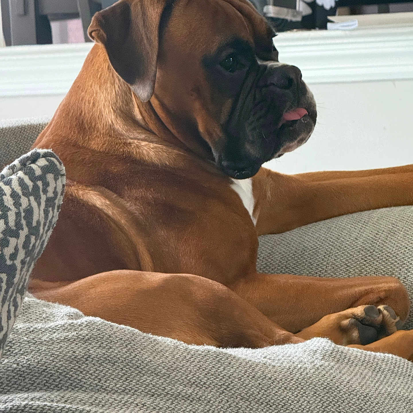 Tucker