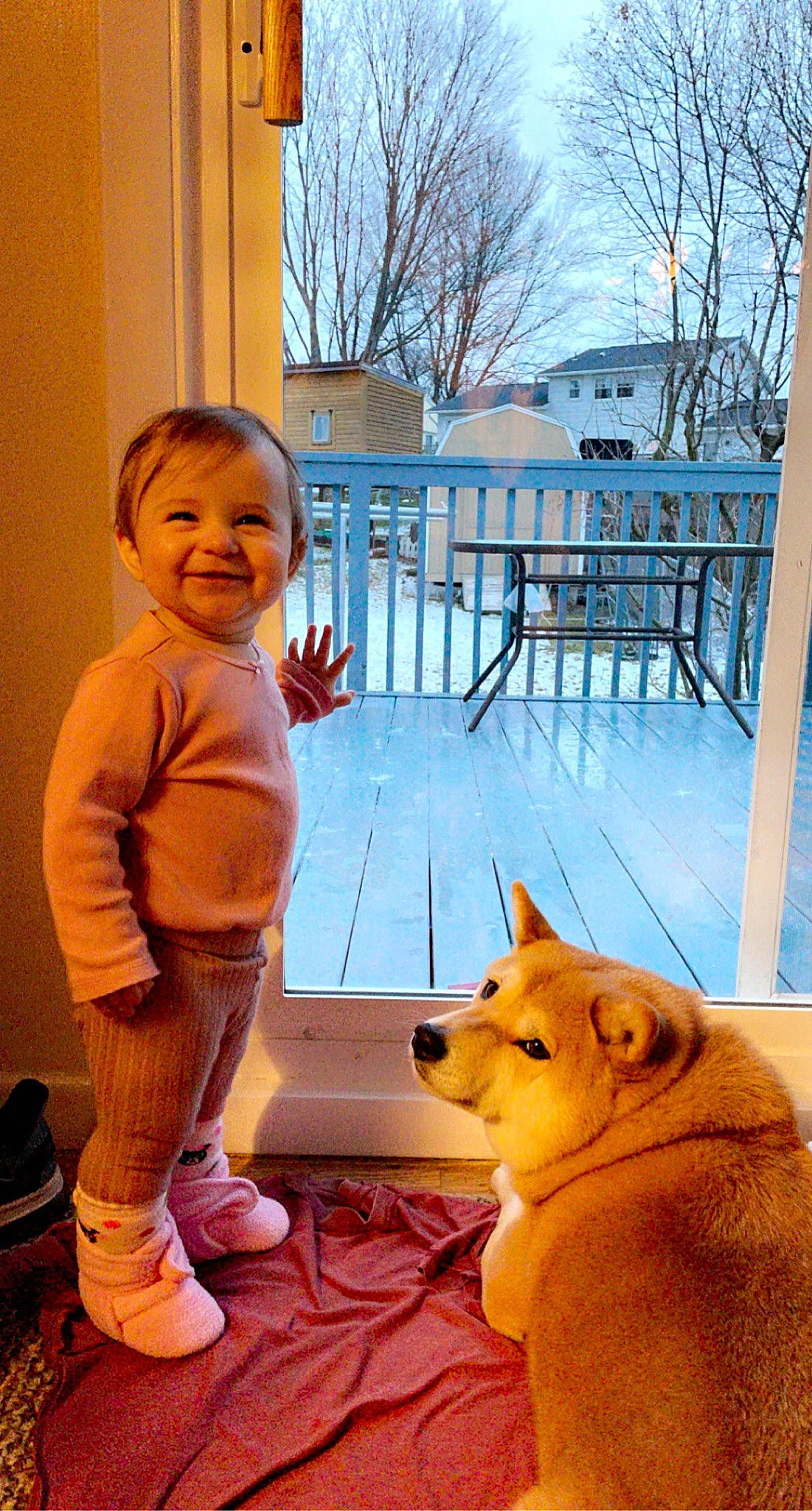 Alisa is registered to the contest to win money with this photo: blue, carnivore, chair, companion_dog, dog, dog_breed, fawn, flooring, fun, happy, joy, leisure, nose, person, sitting, sky, smile, snout, spitz, toddler