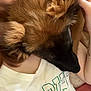 dog, person, close_up, cuddle, fur, shirt, jeans, hand, face_part, pet, indoor, comfort, affection, casual_clothing, brown_fur, resting, relaxation, skin, human, animal