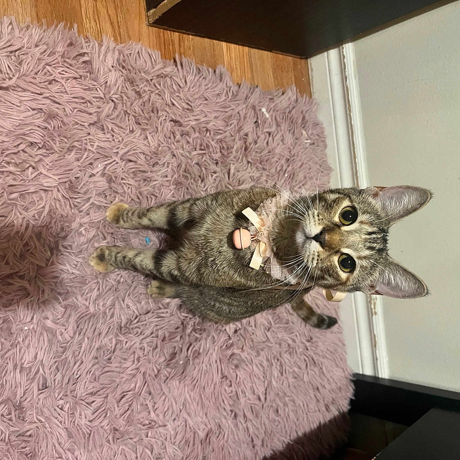 Rosalita