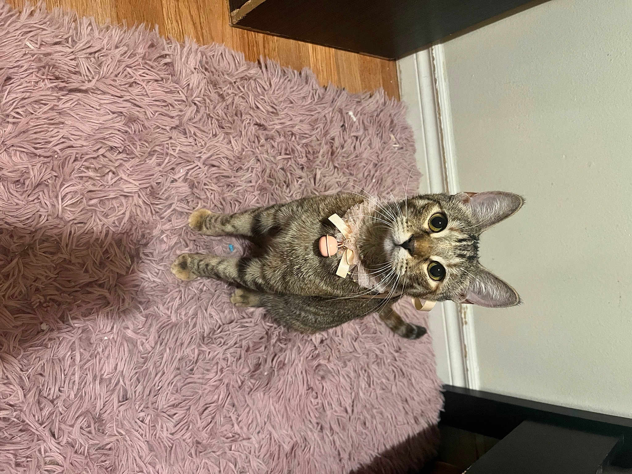 Rosalita