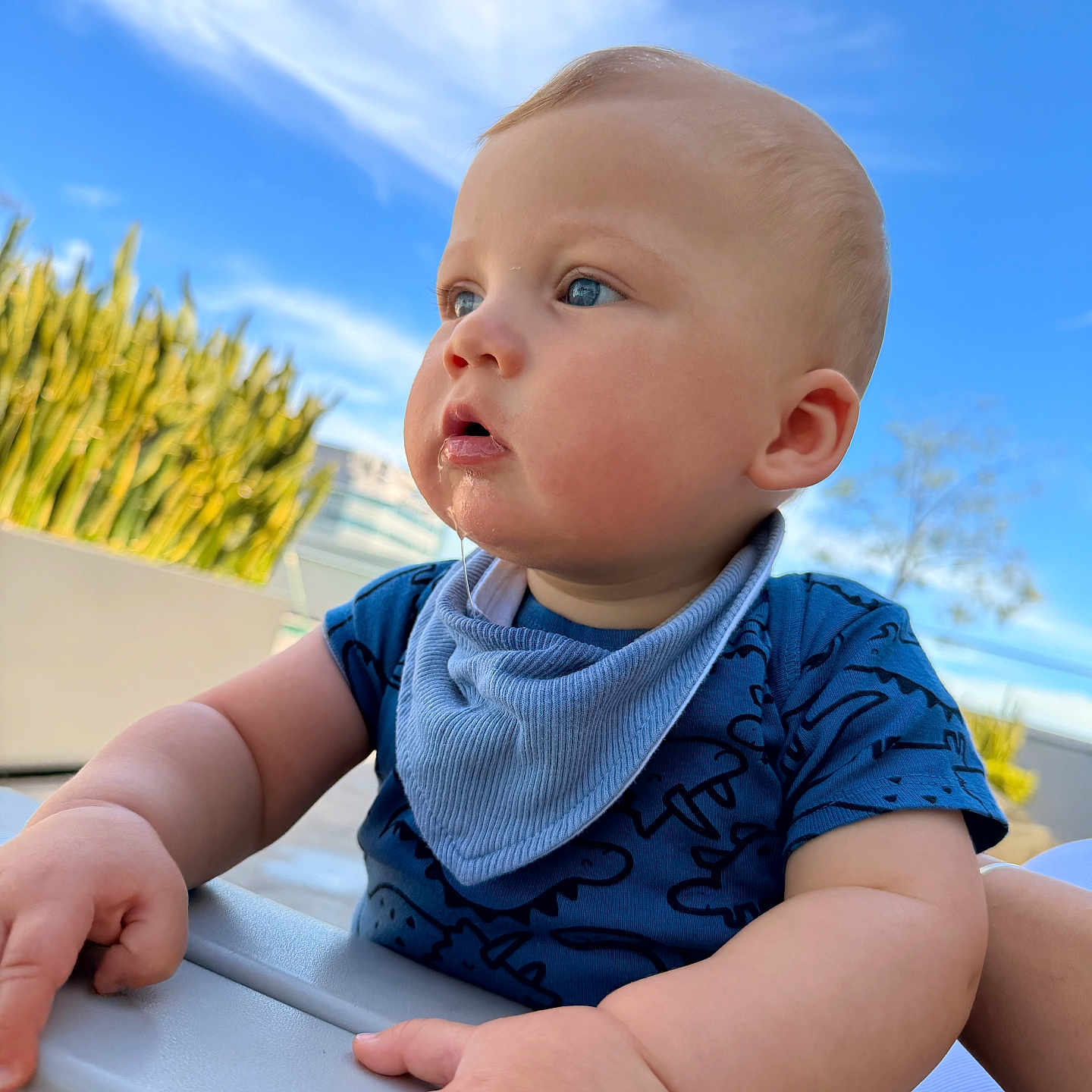 Leo is registered to the contest to win money with this photo: baby, child, blue_eyes, drool, outdoor, sky, clouds, greenery, curious, portrait, infant, blue_shirt, bandana, hands, face, cute, sunlight, daytime, expression, closeup
