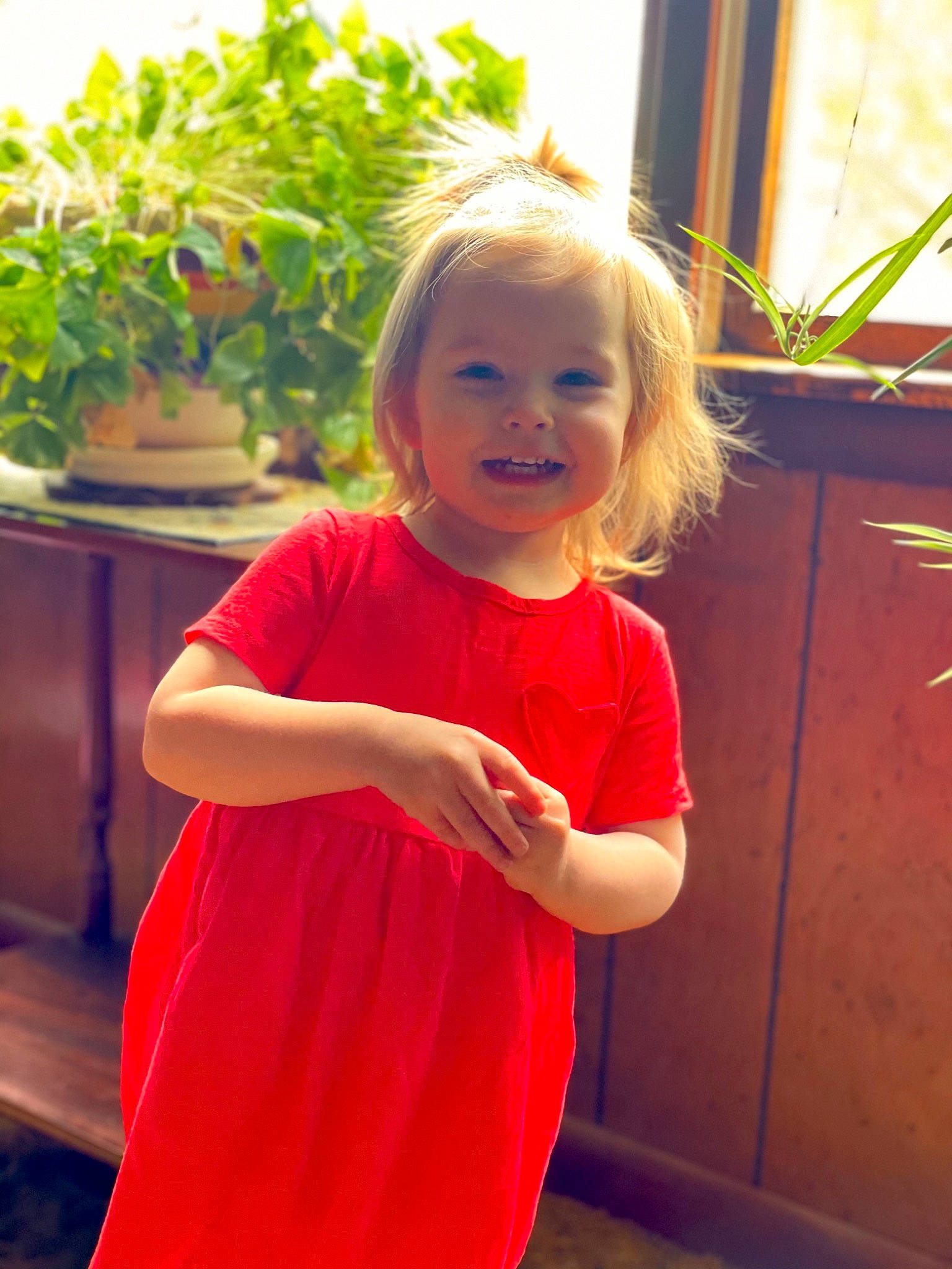 Amity joined the competition — help win amazing prizes! baby_toddler_clothing, clothing, dress, facial_expression, grass, hairstyle, happy, iris, joy, leaf, person, plant, shoulder, sleeve, smile, standing, summer, toddler, waist, window